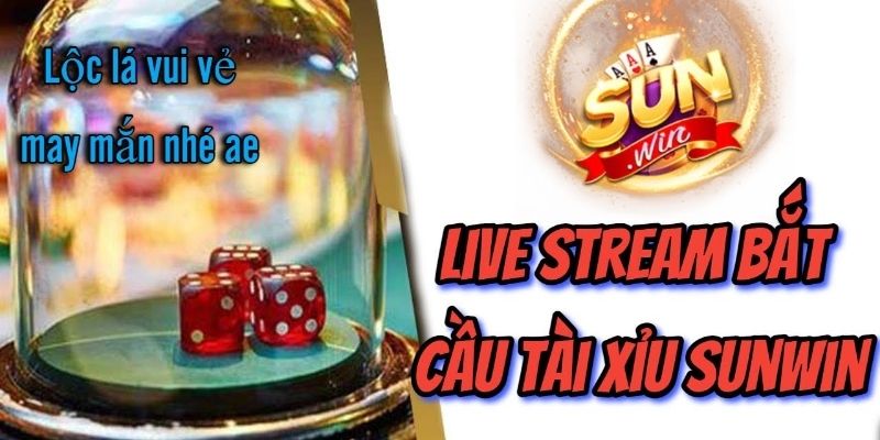 Giới thiệu về tài xỉu livestream Sunwin20